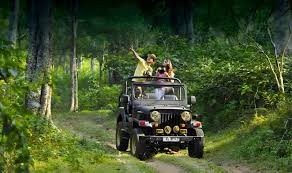Jeep Safari